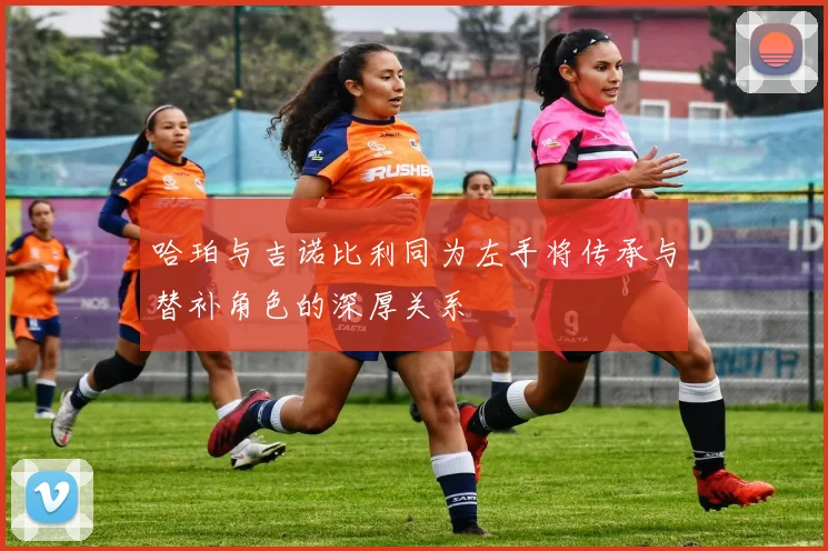 哈珀与吉诺比利同为左手将传承与替补角色的深厚关系